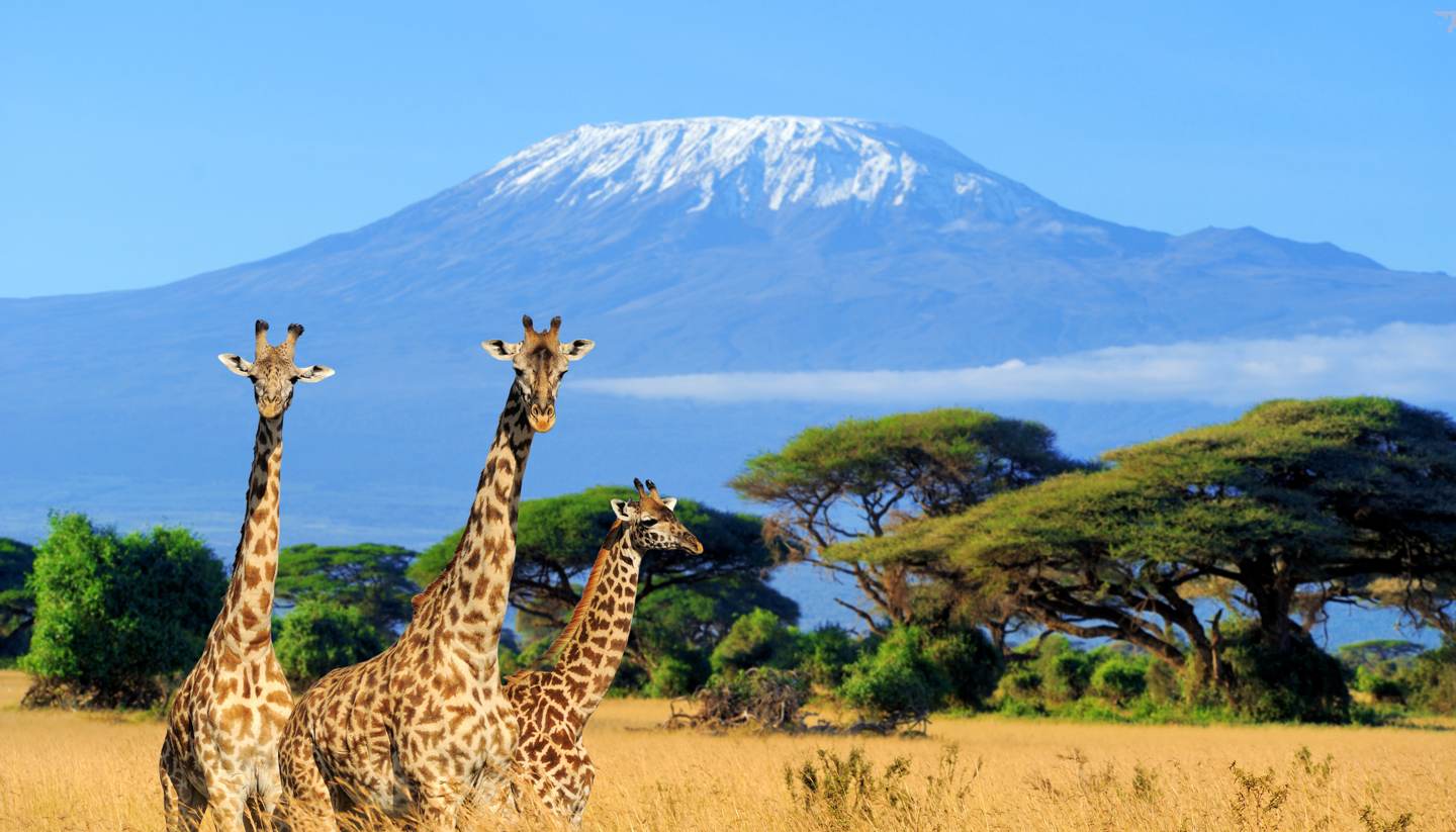 Amboseli National Park safari destination